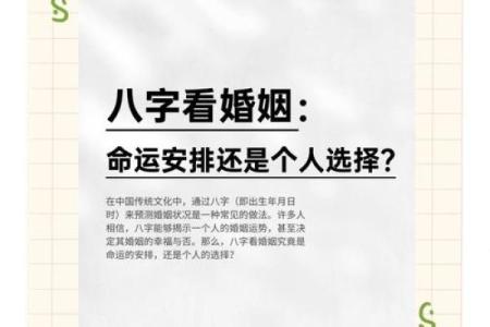 2006年狗年运势：揭示你的命运密码和幸福指引