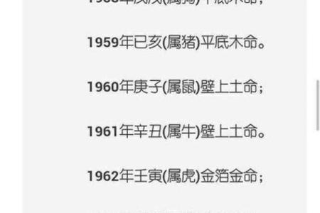 解密1984年鼠年的命格：智慧与机遇的双重舞台