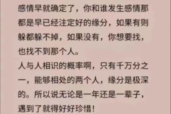 相依为命的深刻内涵与珍贵情感探讨