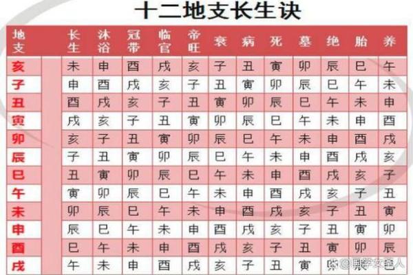 解密命格:身强木命的深意与启示 解密命格:身强木命的深意与启示