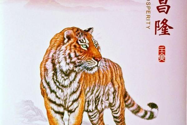 191974年虎年命运解析：精彩生活与奋斗之路的交织