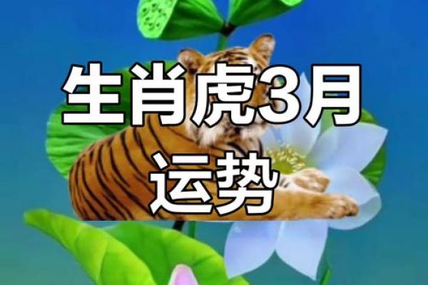 2022年属虎人运势解析：顺风顺水的虎命人生