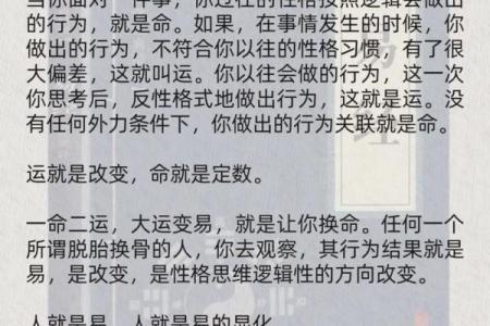 命与运：探寻人生中的定数与变数的奥秘