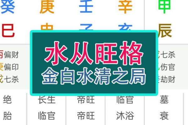 八二年水命与各命理的最佳搭配分析