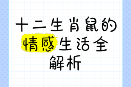 探秘2008年属鼠人的命运与性格特征