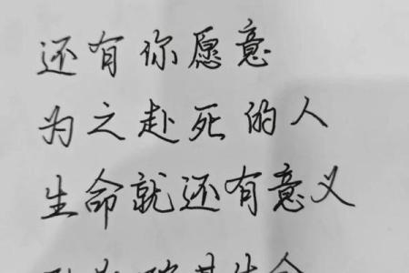 探寻生命的深意：在日常中发现存在的价值与意义