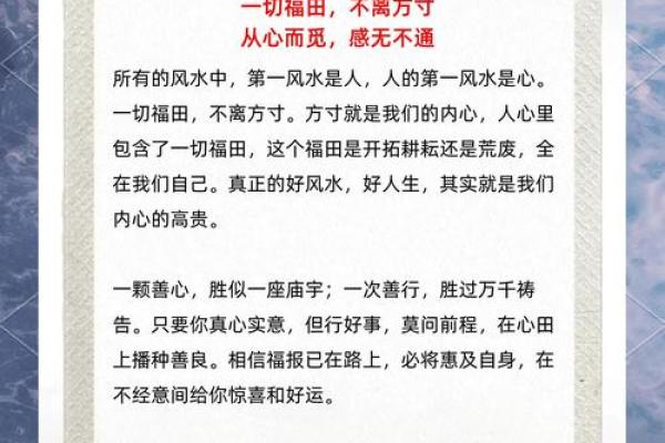 明年兔年出生的人：命运解析与人生指南