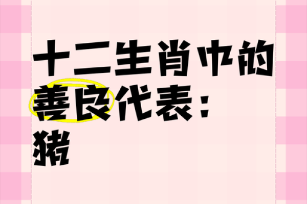 揭秘1951年属猪人的命运与性格特征