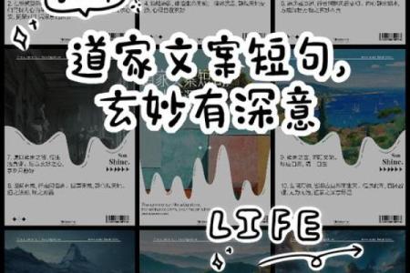 理解“遂命驾便归，命驾”深意：从生活中寻找平和与应对之道