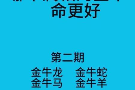 1966年属什么命？揭示牛年出生者的性格与命运