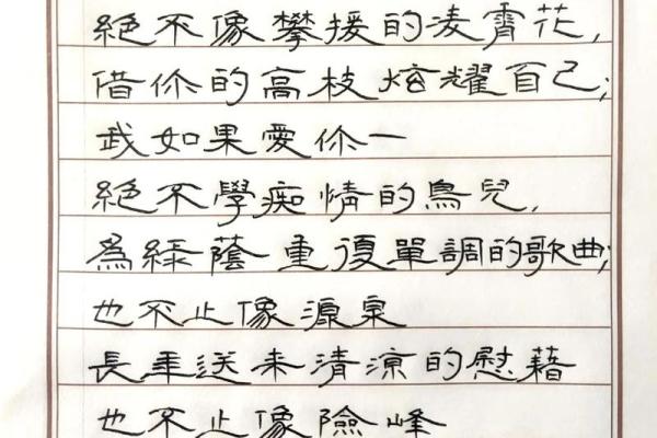 命若琴弦：人生的韵律与和谐之旅