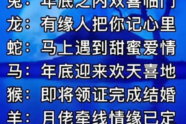 1999年兔年：命运与性格的深度解析