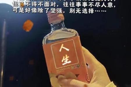 命不改，心不灰：在风雨中坚定前行的智慧与勇气