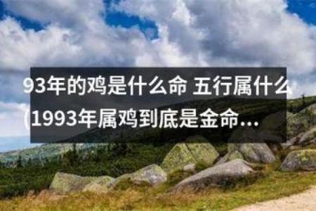 1963年出生的人：鸡年命运与人生阅历的启示