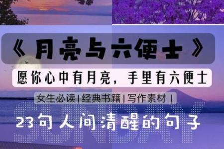 木命男人最喜爱的颜色探秘：自然之韵与内心的呼唤