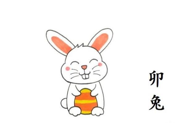 兔年33岁属什么命：探索兔年的命理与运势