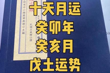 2022年兔年：命理与运势的深度解析，寻找兔年的财富与机遇之路