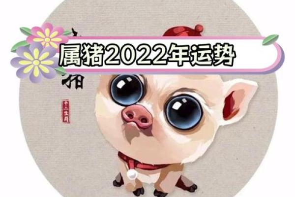 2019己亥年属猪命解析：探索人生的智慧与财富的奥秘