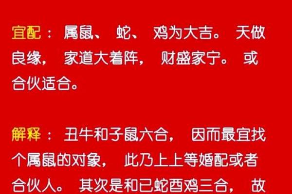 1988年的命运之星：揭示那年的生肖奥秘与人生机缘