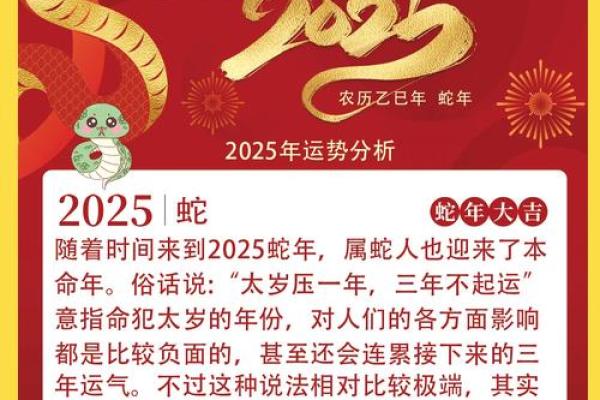 2026年蛇年命：探寻命理中的智慧与魅力