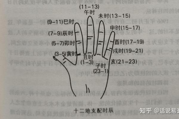 1984年出生者的命理分析与个性探讨：数字与命运的交织