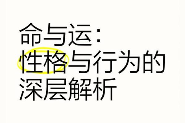 六命与一命的深度解析：人生的多样性与个体选择