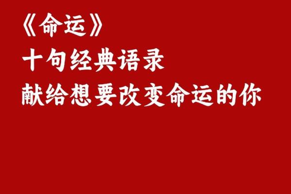 命运的无常：当人生的艰辛超越所有期待