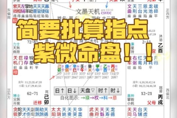 揭示紫微命盘的秘密：如何辨别富贵命之道？
