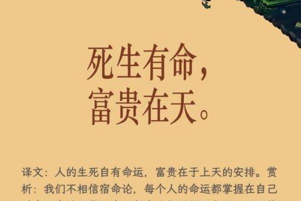 从古至今，命运的轻重与人生的哲思——探讨“我命轻”背后的深意