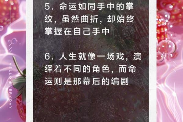 不信命运，却发现每一步都是命运的指引