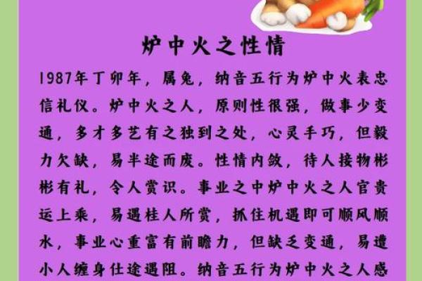 1996年出生的火命人：魅力与机遇并存的生命历程