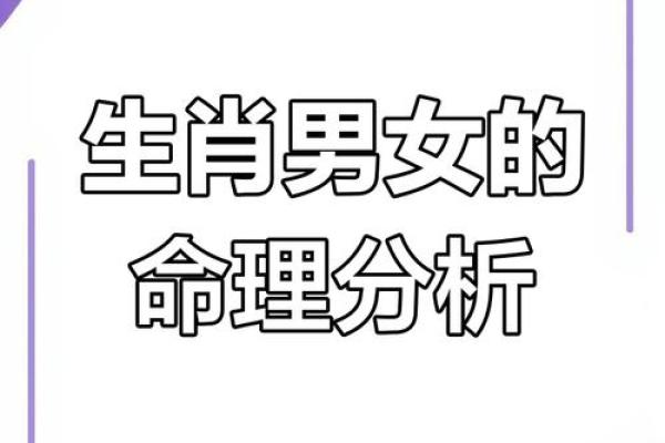 2018年生肖命运详解：如何弥补命中缺失，助你腾飞人生！