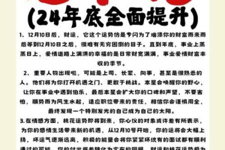 2023兔年命运解析：兔年出生者的命理特点与缺失指南