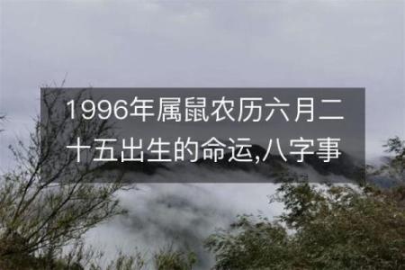 96年出生的命运解析：缺什么才能更幸福？