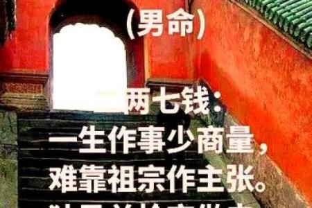 探索73年属牛人的命理与性格：步步为营，稳如泰山的生活艺术