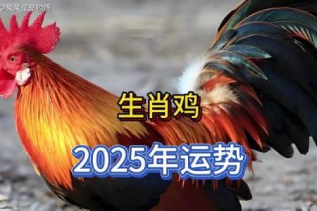 2019年鸡年运势：揭秘你的命运与财富之路