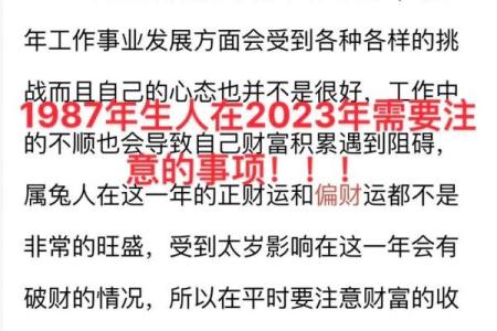 1987年出生的兔子命理解析：细说属兔人的性格与运势