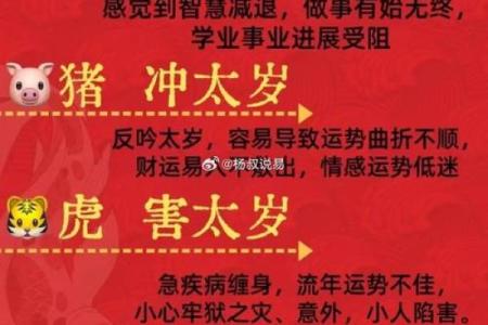 2018年生肖命运详解：如何弥补命中缺失，助你腾飞人生！