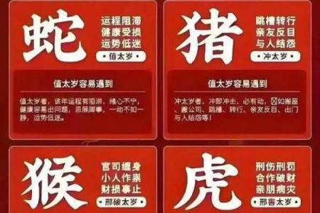 兔年出生的男孩命理解析：哪些命格更为出色