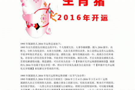 2019本命年，让我们一起探索运势与注意事项