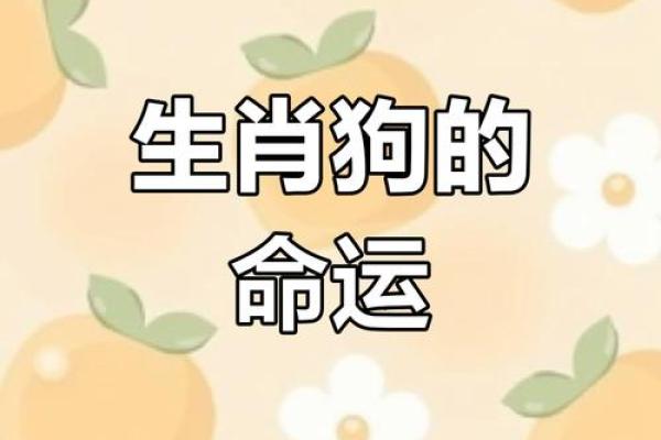 亥时出生属狗的人生运势解析：命理的深度探索