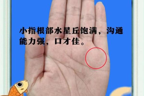 根据手指的长度与形态，揭示你未来的命运轨迹