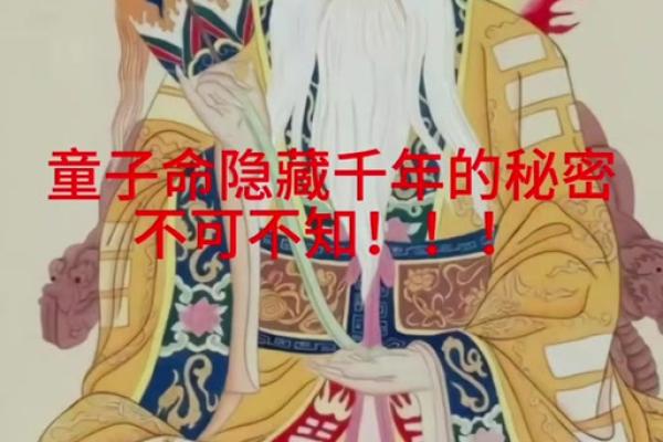 真童子命与假童子命的深度解析：巧妙辨识与实际应用