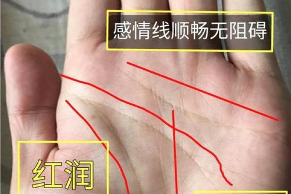 掌心凹陷的人是什么命？探讨手相的奥秘与命运暗示