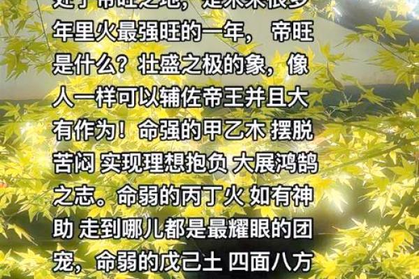 21975年属什么命？探索生命的奥秘与运势的秘密！