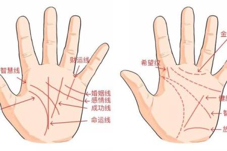阳刃格男命与理想配偶命格，探索合适的另一半组合