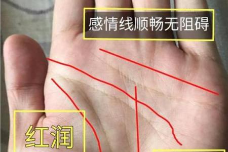 掌心凹陷的人是什么命？探讨手相的奥秘与命运暗示