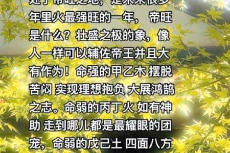 21975年属什么命？探索生命的奥秘与运势的秘密！