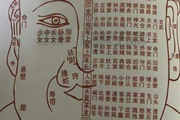 山根高的人命理解析：从面相看人生运势与财富机遇