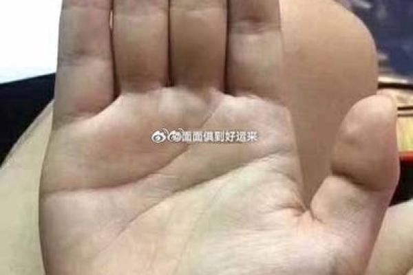 小指短的人命运如何？深度解析小指与命运的关系